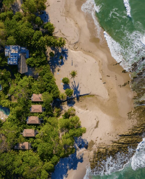 Aerial view of tropical beach and trees.