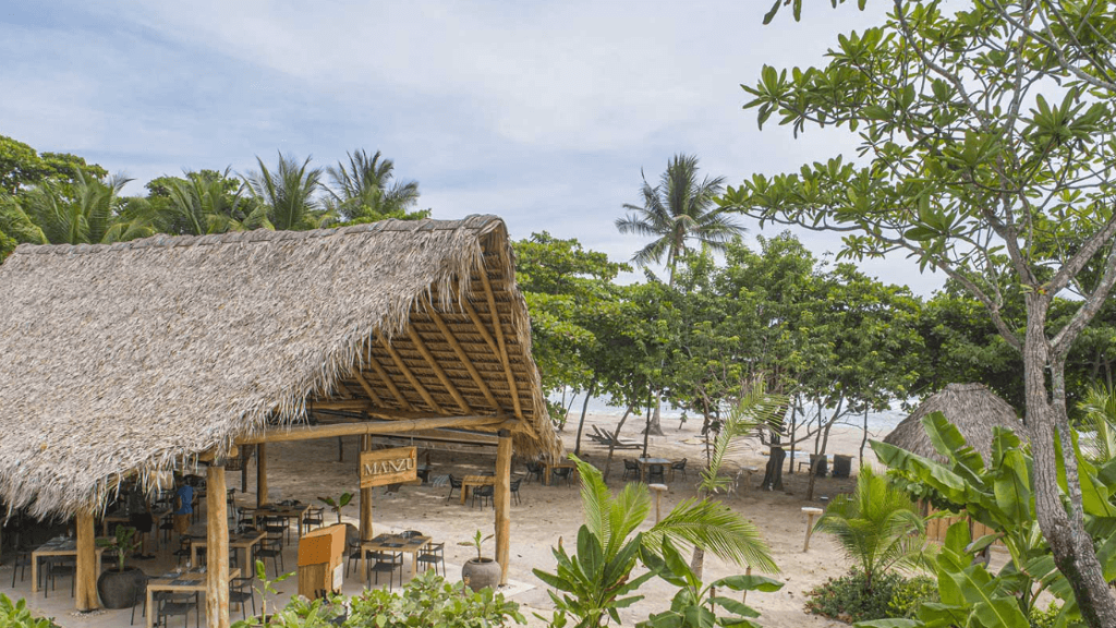 Beachfront hut with palm trees and greenery.